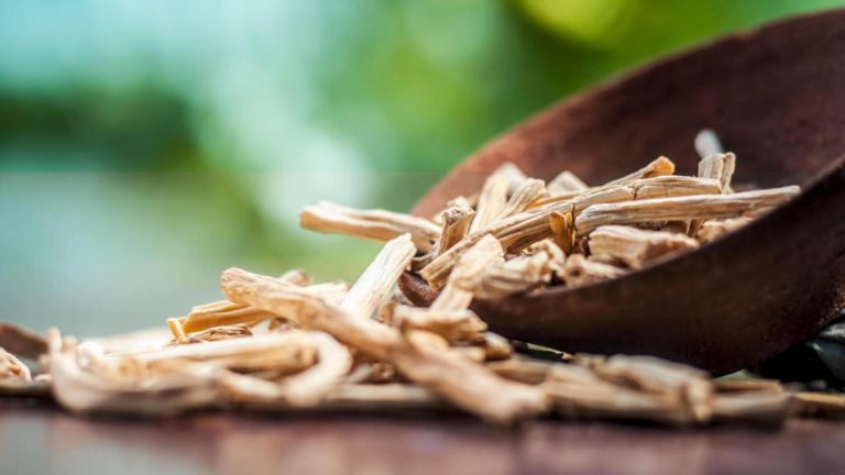 Shatavri Root